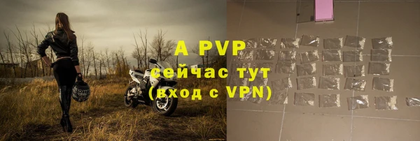 молекула духа Ростов