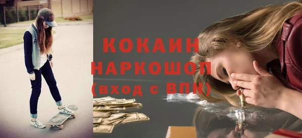 молекула духа Ростов