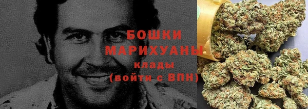 молекула духа Ростов