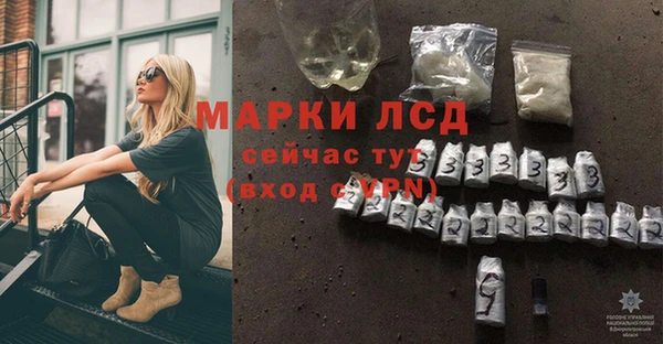 молекула духа Ростов