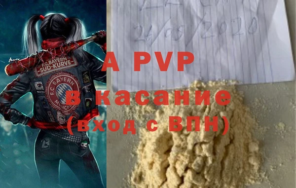 молекула духа Ростов