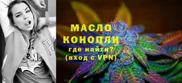 молекула духа Ростов