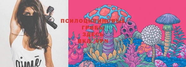 героин Рославль