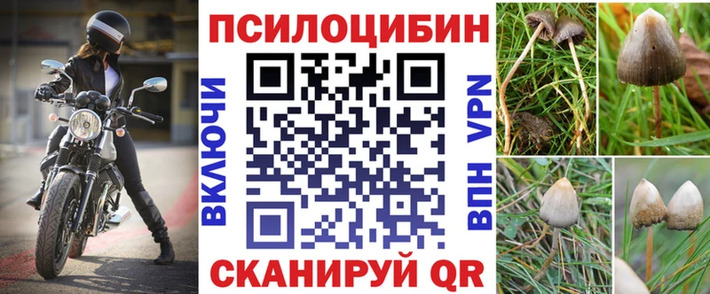 Псилоцибиновые грибы Magic Shrooms Сольвычегодск