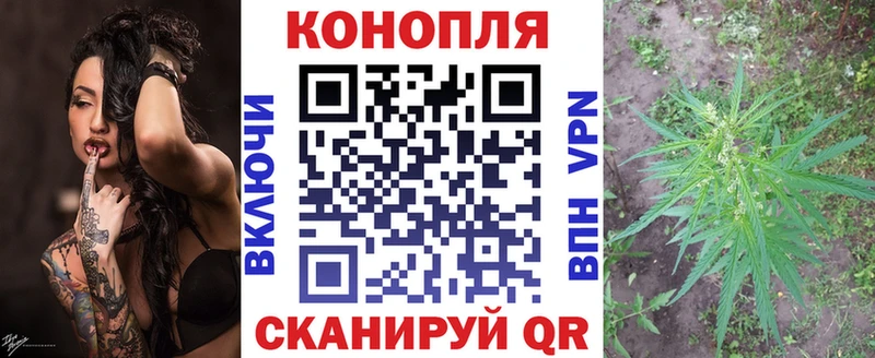 Конопля VHQ  Сольвычегодск 